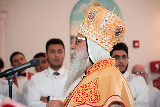 D71_4084.jpg